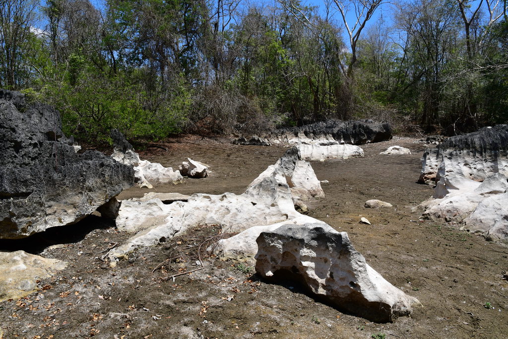 Tsingy of Bemaraha N.P.